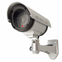 Dummy Camera in Silver Circular Outdoor Housing with Light SWDC1100 - Safety & Security - Fits My Budget